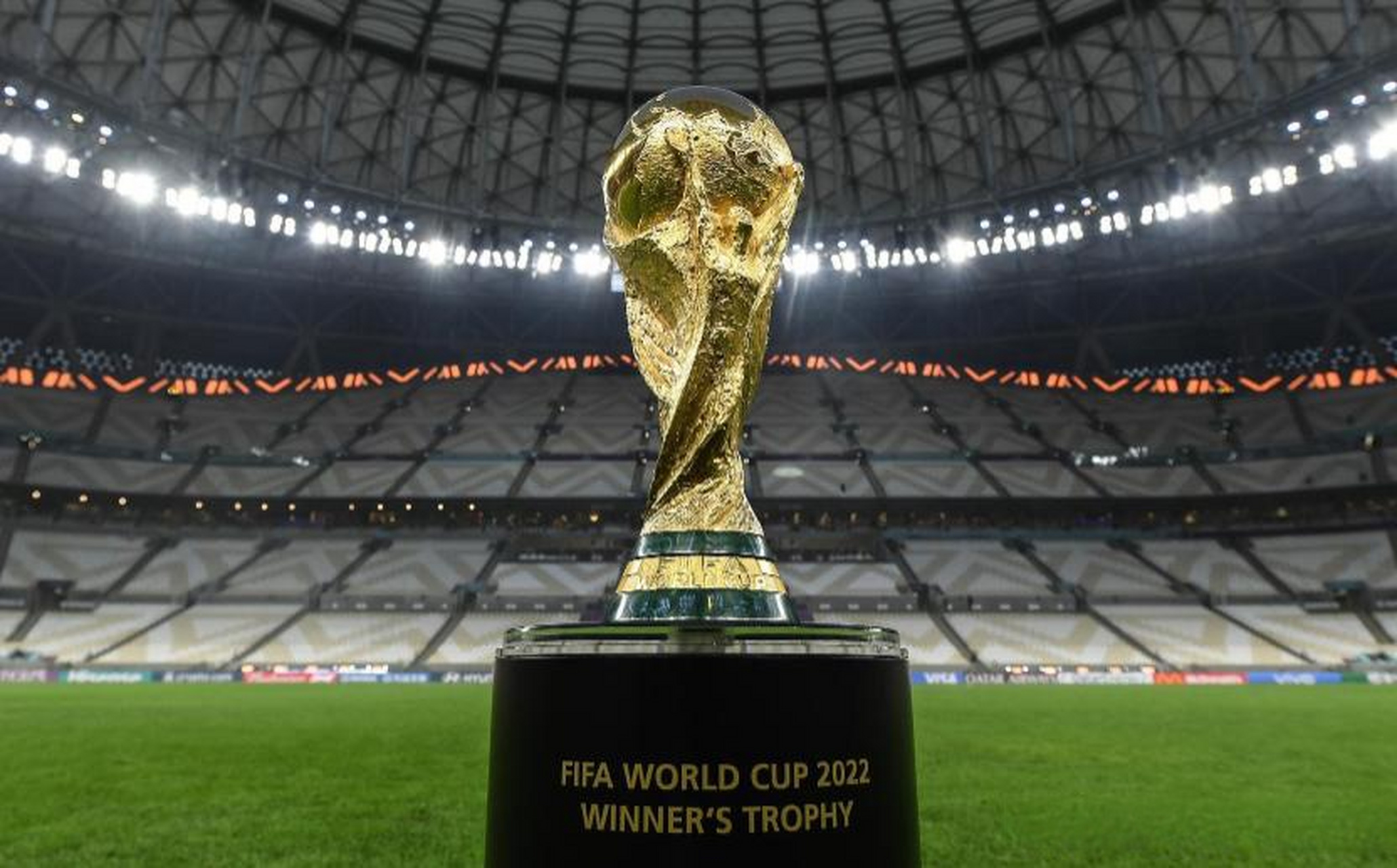 体能与康复 体能与康复