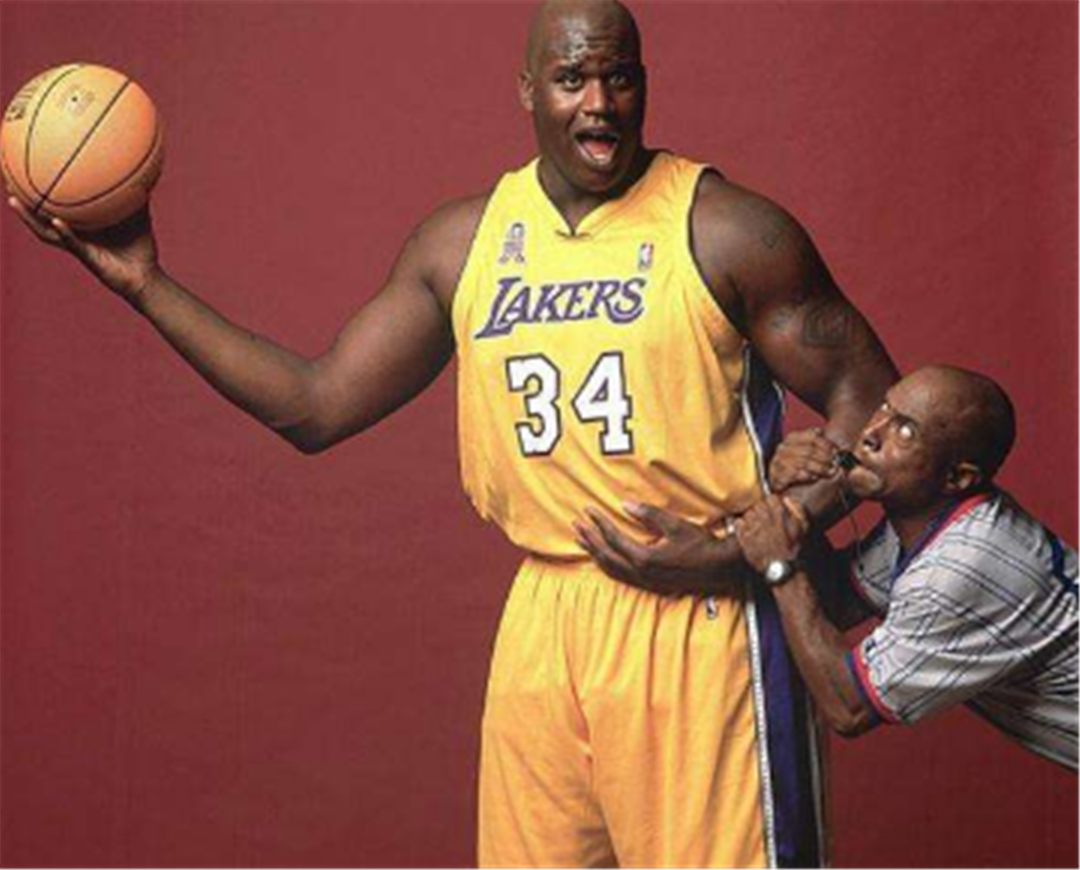 的小步快跑 的小步快跑