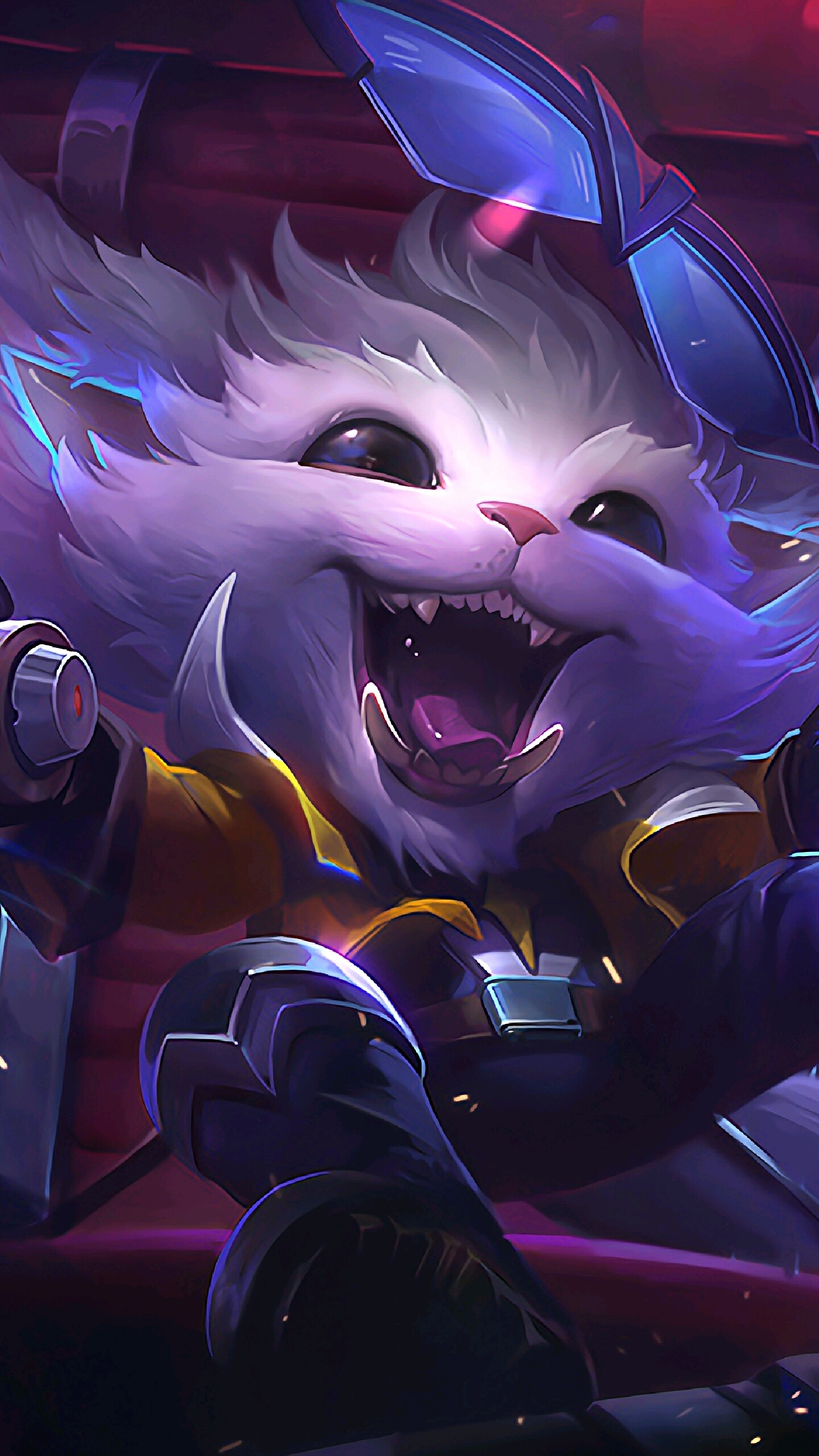 尤其在保护 尤其在保护